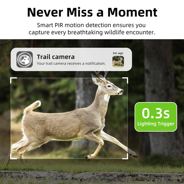 4G Hunting Game Cameras with Long Battery Life - F8